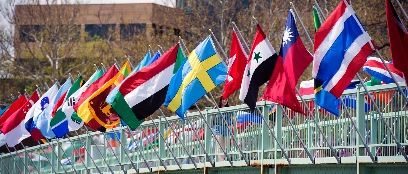 International flags on the IMU footbridge.